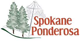 Spokane Ponderosa